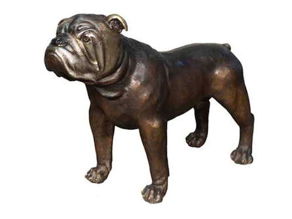 Bronze Bulldog Garden Statue Large Silver highlights Old English